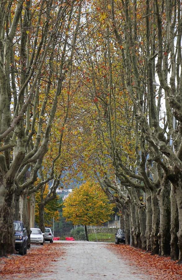 Douro - A Casinha Da Ana Διαμέρισμα Vila Real Εξωτερικό φωτογραφία