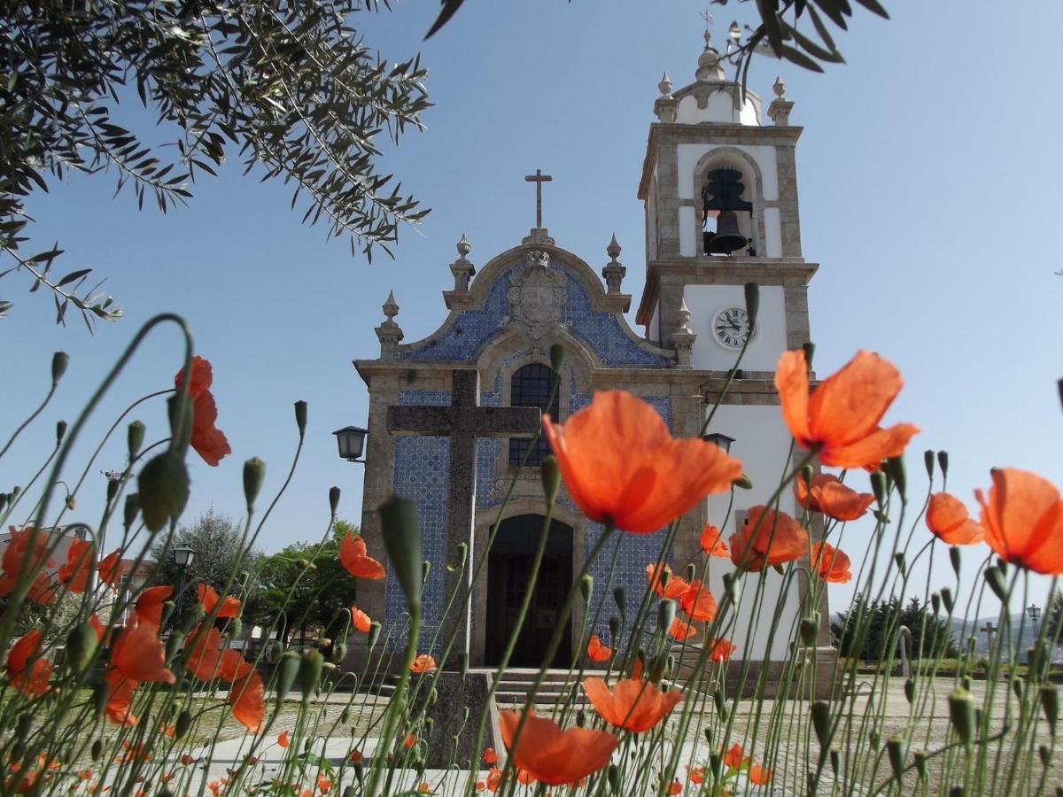 Douro - A Casinha Da Ana Διαμέρισμα Vila Real Εξωτερικό φωτογραφία