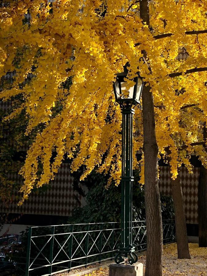 Douro - A Casinha Da Ana Διαμέρισμα Vila Real Εξωτερικό φωτογραφία